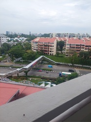 Blk 8 Farrer Gardens (Bukit Timah), HDB 3 Rooms #571832381